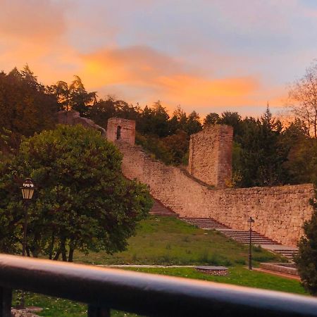 El Capricho Del Arco_Apartamentos Burgos Catedral Dış mekan fotoğraf